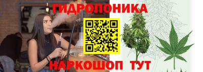 винт Канаш
