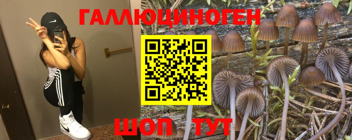 Конопля Краснознаменск
